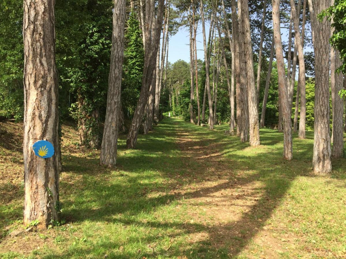 Les Hauts De Fixin, 50M2 Avec Exterieur Sur La Route Des Grands Crus, Dijon Sud Zewnętrze zdjęcie