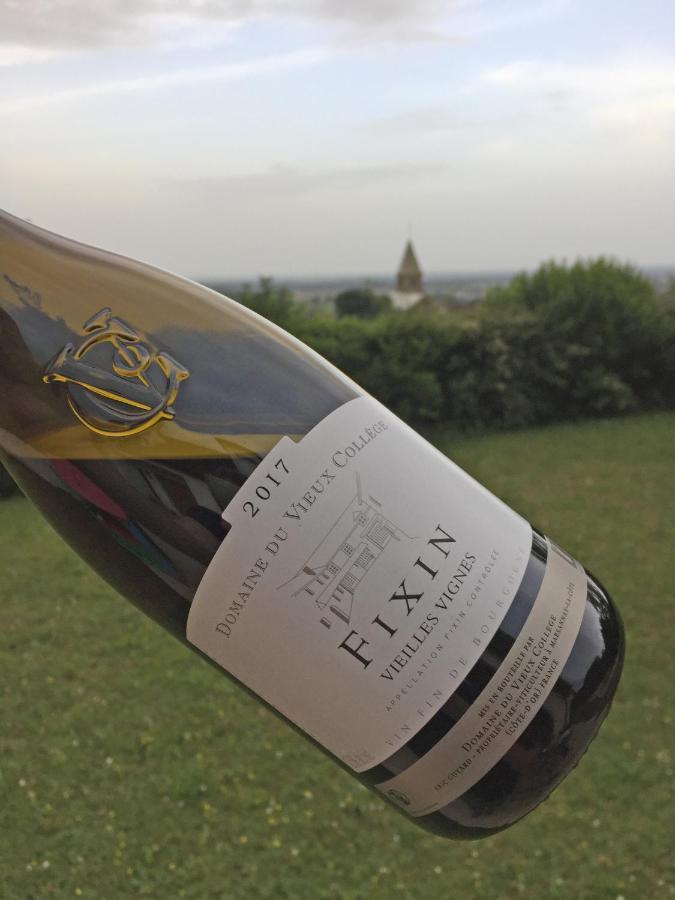 Les Hauts De Fixin, 50M2 Avec Exterieur Sur La Route Des Grands Crus, Dijon Sud Zewnętrze zdjęcie
