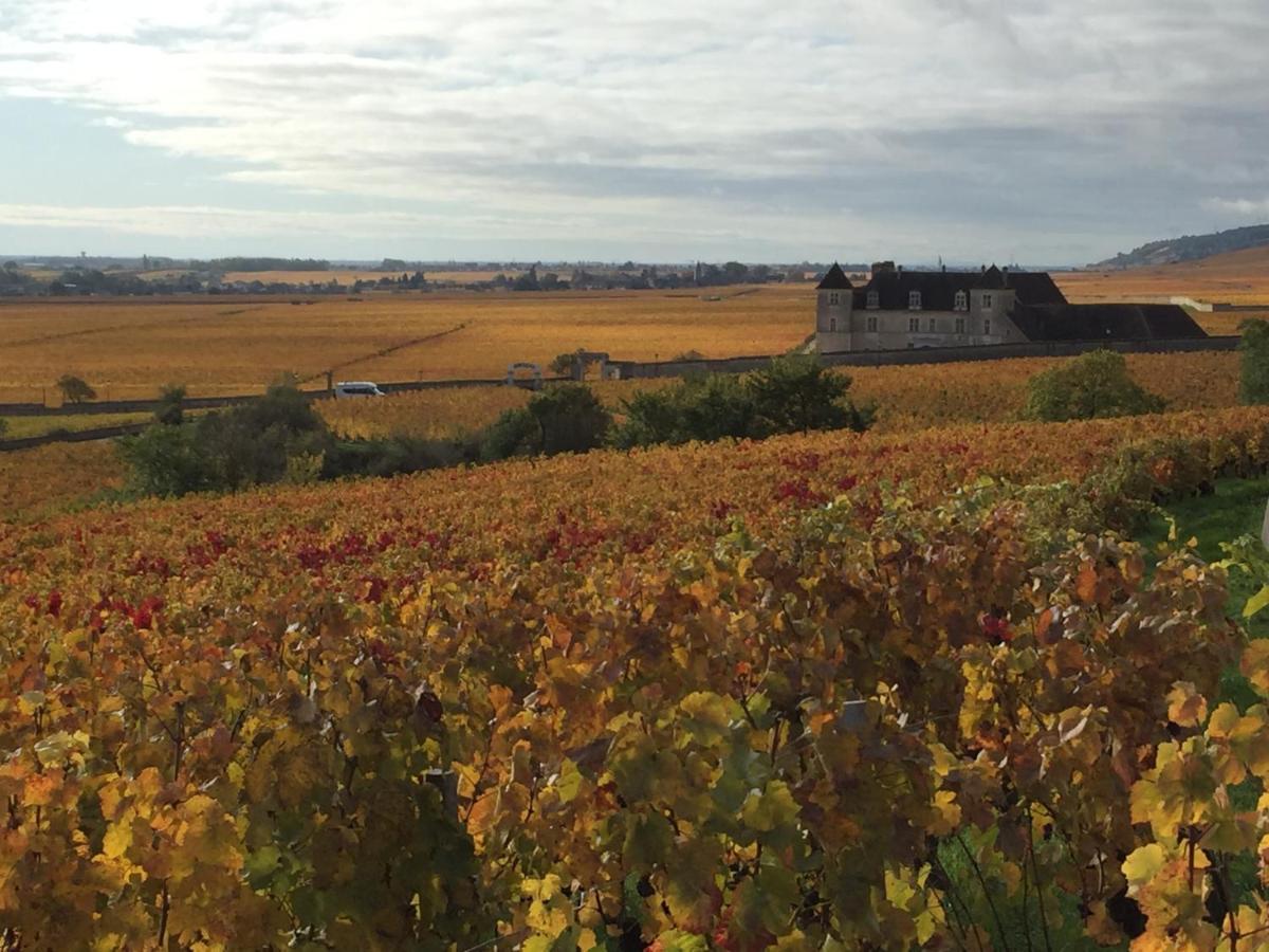 Les Hauts De Fixin, 50M2 Avec Exterieur Sur La Route Des Grands Crus, Dijon Sud Zewnętrze zdjęcie