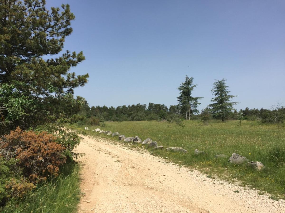 Les Hauts De Fixin, 50M2 Avec Exterieur Sur La Route Des Grands Crus, Dijon Sud Zewnętrze zdjęcie
