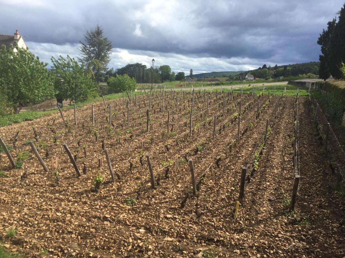 Les Hauts De Fixin, 50M2 Avec Exterieur Sur La Route Des Grands Crus, Dijon Sud Zewnętrze zdjęcie